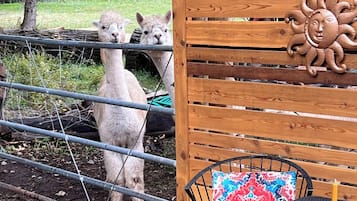 Servei de restauració a l'aire lliure