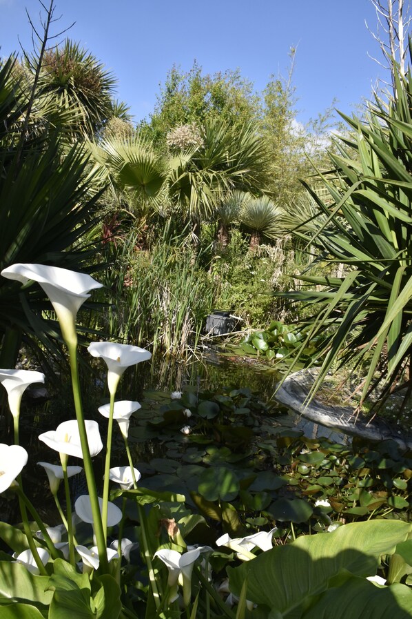 Property grounds - Gîte - parking - pool in summer - sea and stores (Surtainville)