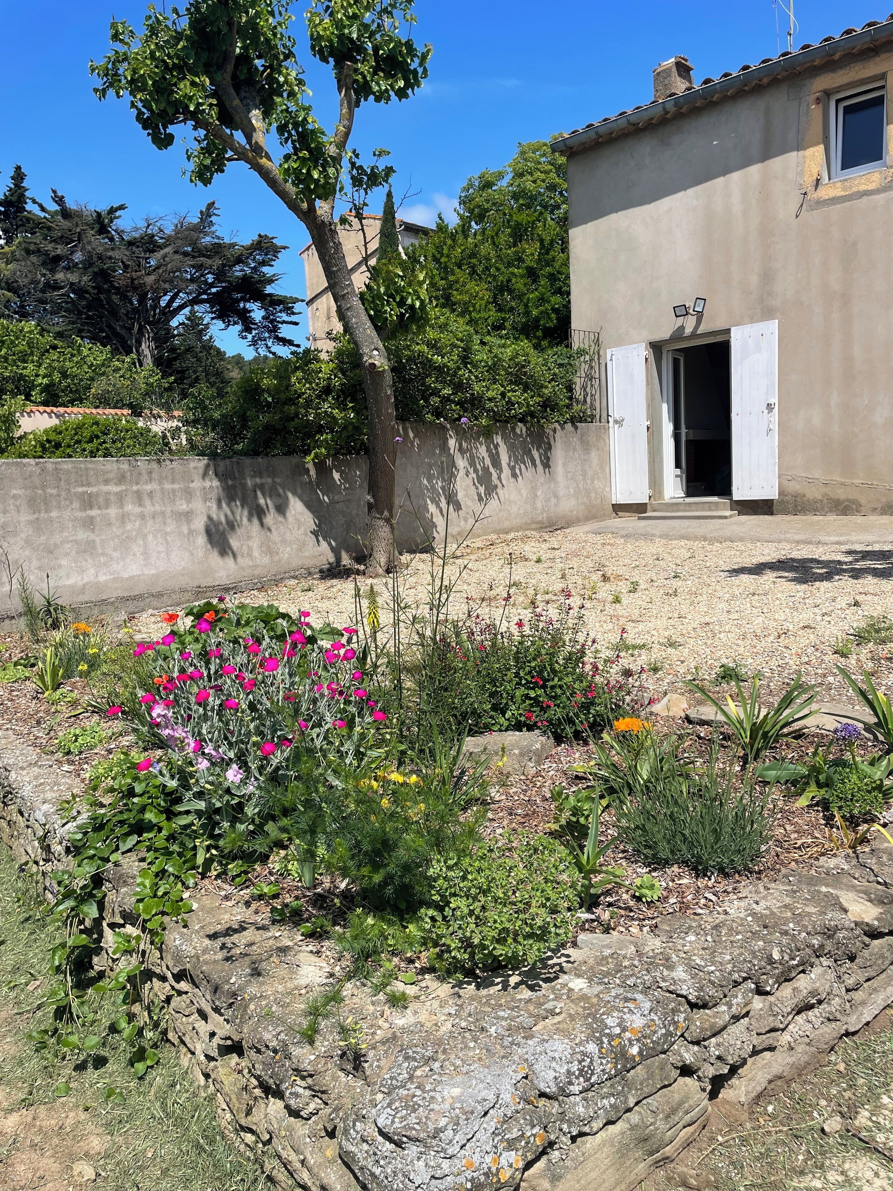 A garden with various plants and flowers, a stone wall, and a building with an open door.