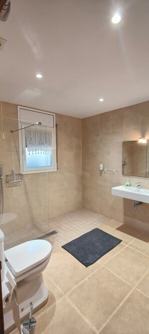 Douche, sèche-cheveux, serviettes fournies, papier toilette