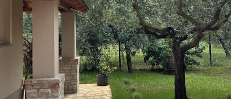 Family House, Multiple Bedrooms, 2 Bathrooms (Casa Oliva Kim Marie) | Property grounds