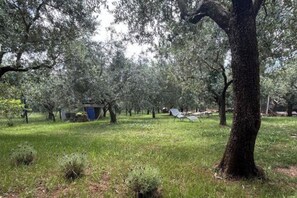 Garden - Casa Oliva Kim Marie (Medulin)