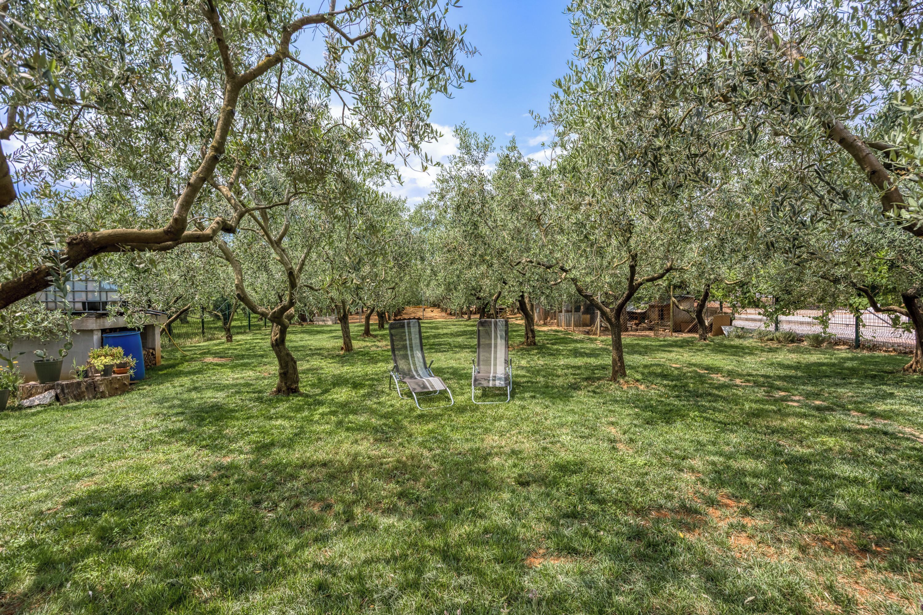 Maison Familiale, plusieurs chambres, 2 salles de bains (Casa Oliva Kim Marie) | Enceinte de l’hébergement