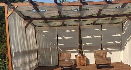 In the capital of the Langhe cottage with pool and garden