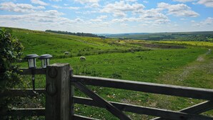 Un paysage rural avec une barrière en bois, un champ d’herbe et des moutons qui paissent.