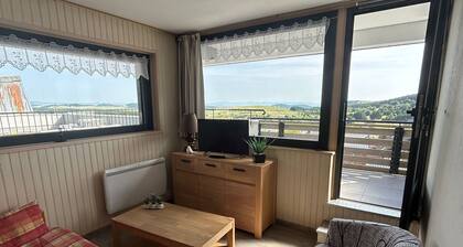 Large 3-room apartment with ski and lake views