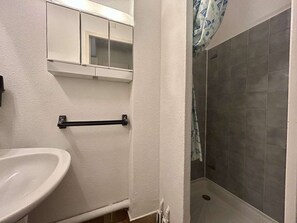 Bathroom - Ground Floor Studio in Saint-Cyprien with Terrace and Parking (Saint-Cyprien)