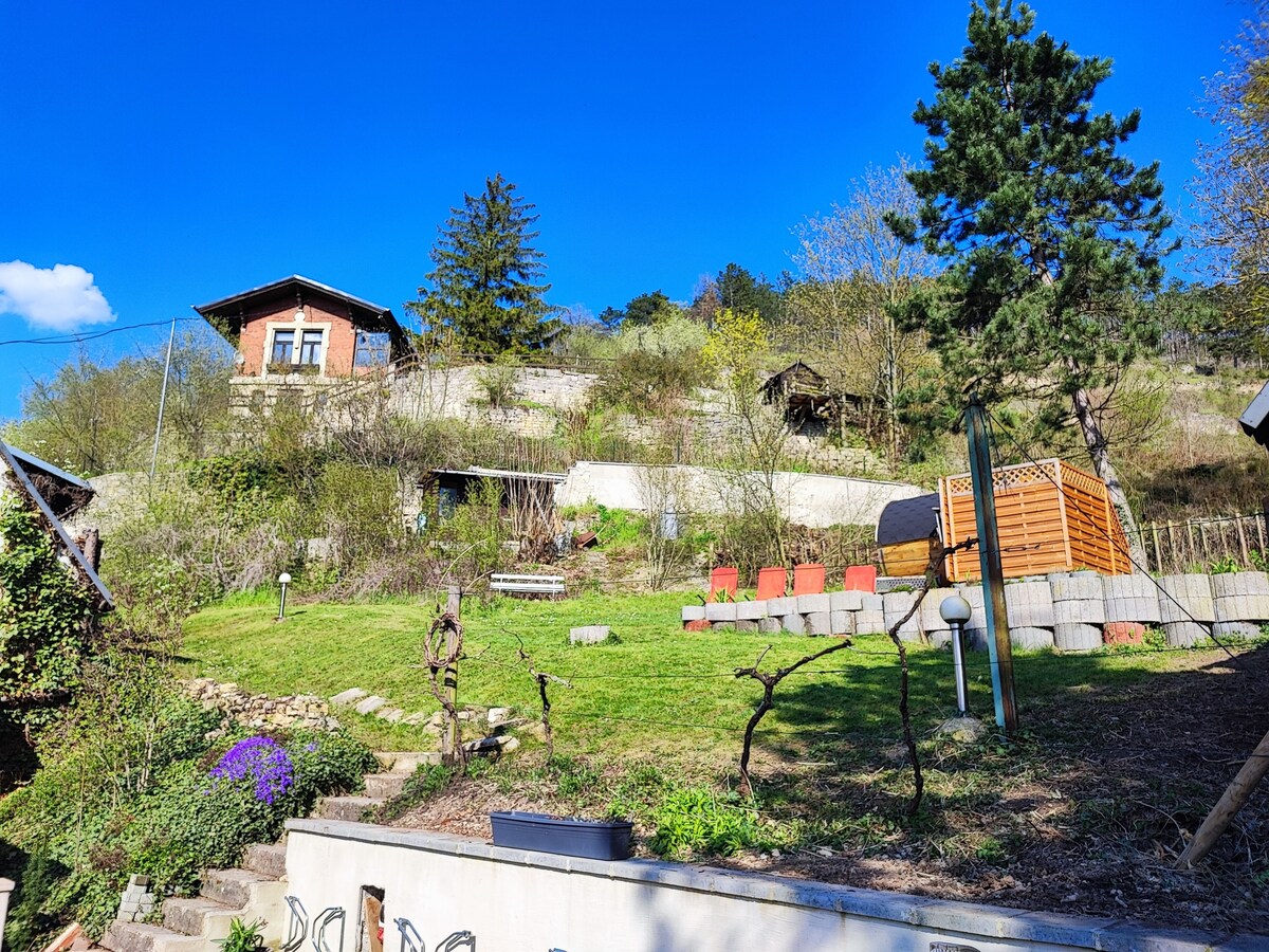 Image de profil de l’hôte