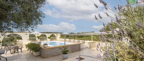 A rooftop pool with a pergola, outdoor seating, and potted plants.