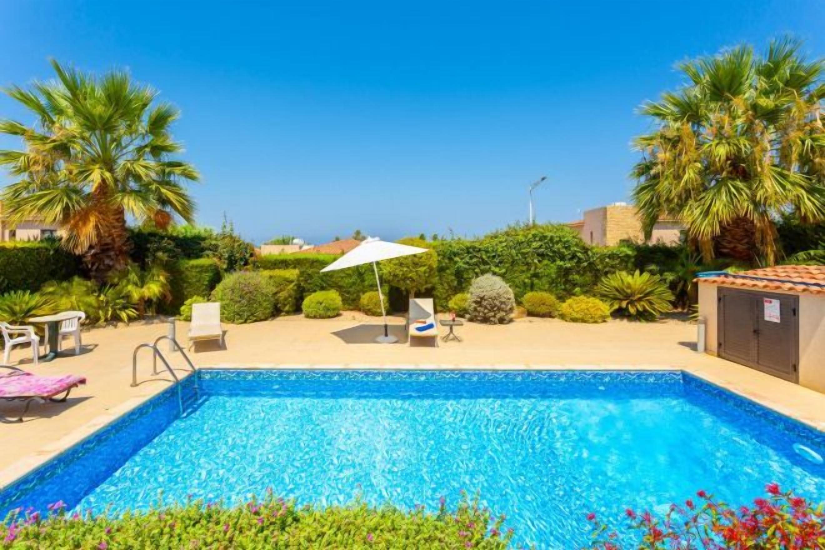 A swimming pool with lounge chairs and umbrellas, surrounded by palm trees and greenery.