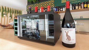 A wine bottle labeled 'Piedra Acribranzca' next to a wine cooler with 'BUJANDA' bottles. - Hotel Boutique HC Maga (Puerto de la Cruz)