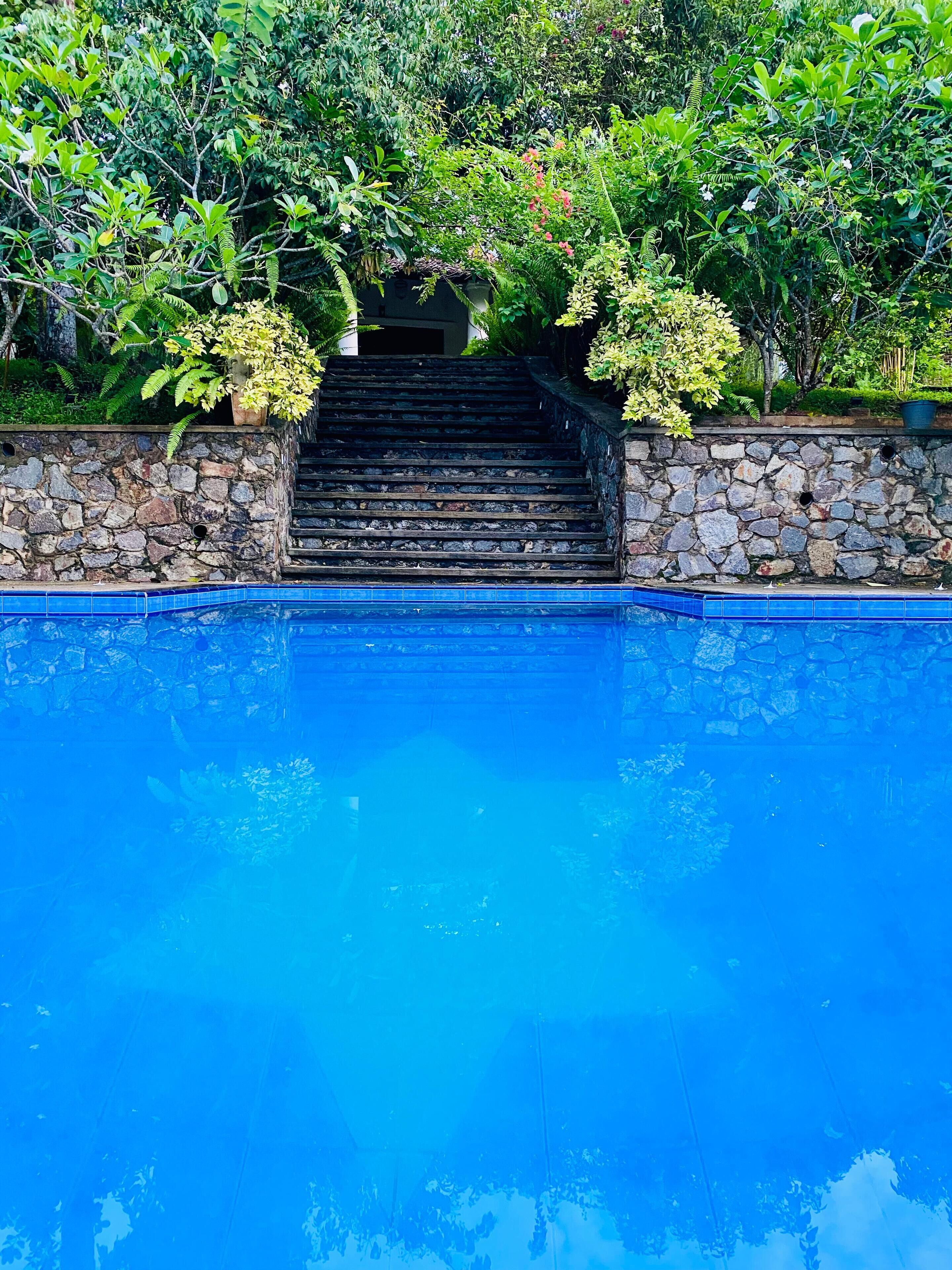 A swimming pool with stone steps leading up to a covered area surrounded by lush greenery.