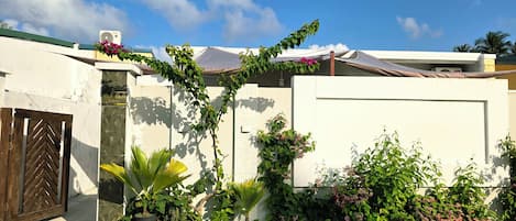 A residential building with a gated entrance, a large potted plant, and various flowering plants in the front yard.