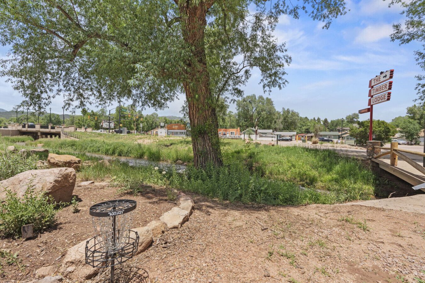 A rustic outdoor area with a large tree, a small water feature, and a sign for 'The Timber Lodge'.
