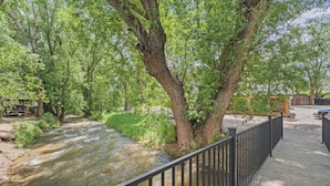 Property grounds - Timber Lodge Cabin #8 (Colorado Springs)
