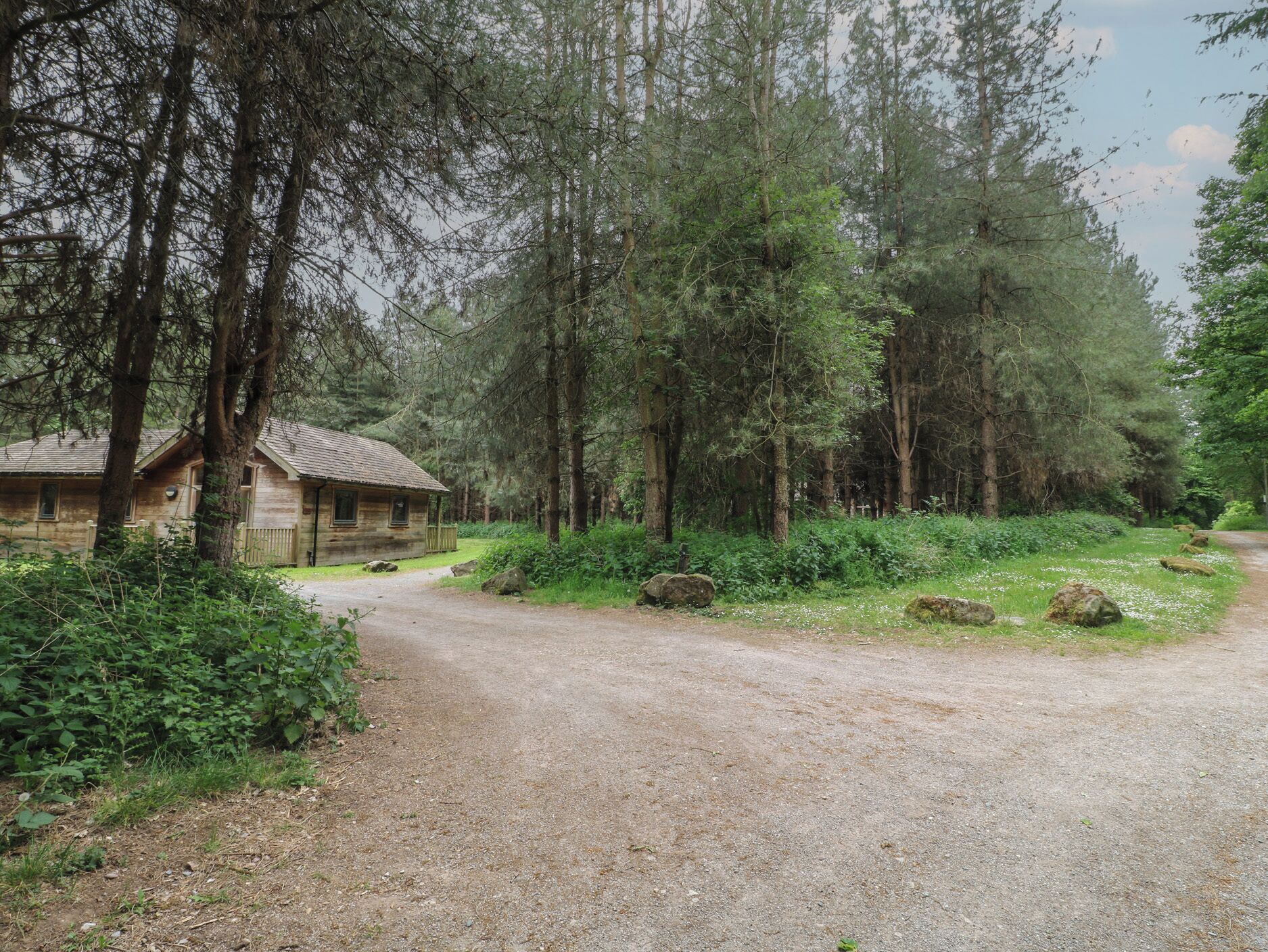 Ein rustikales Blockhaus, umgeben von dichtem Wald.