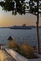 A ferry named Blue Star Ferries on a body of water with a view of a coastal landscape in the background.