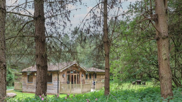 A wooden cabin surrounded by trees with a porch and a small deck. - Oak Lodge (Swadlincote)