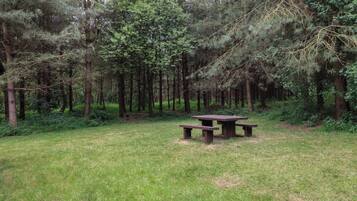 Une table de pique-nique située dans une zone boisée, avec de l’herbe et des arbres.