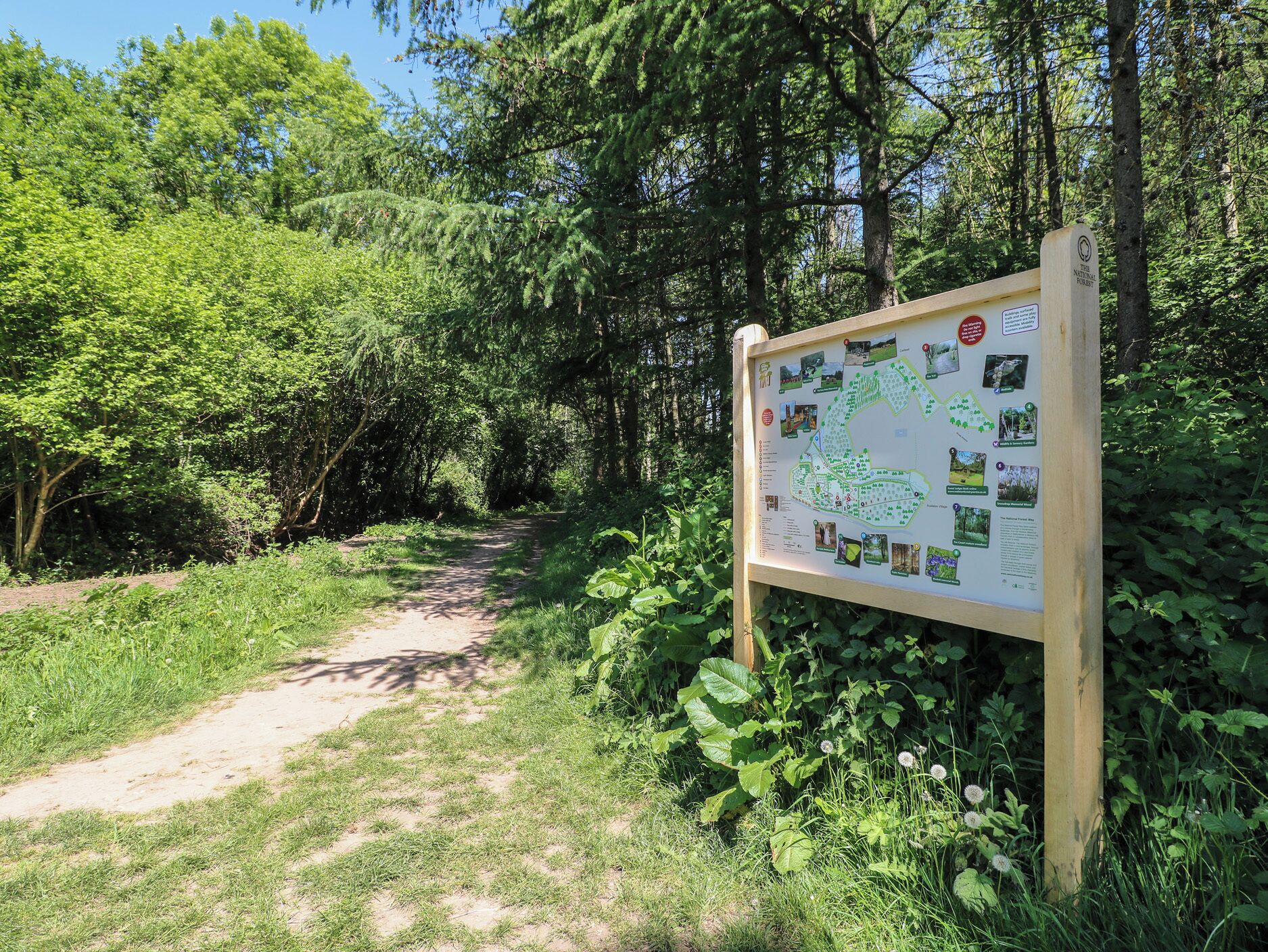 A wooden signpost with a map and informational graphics in a forested area.