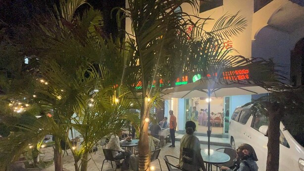 An outdoor seating area with potted plants and string lights, surrounded by tables and chairs. - Mango restaurant and apartment hotel (Zanzibar Town)