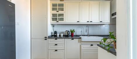 Fridge, oven, stovetop, dishwasher