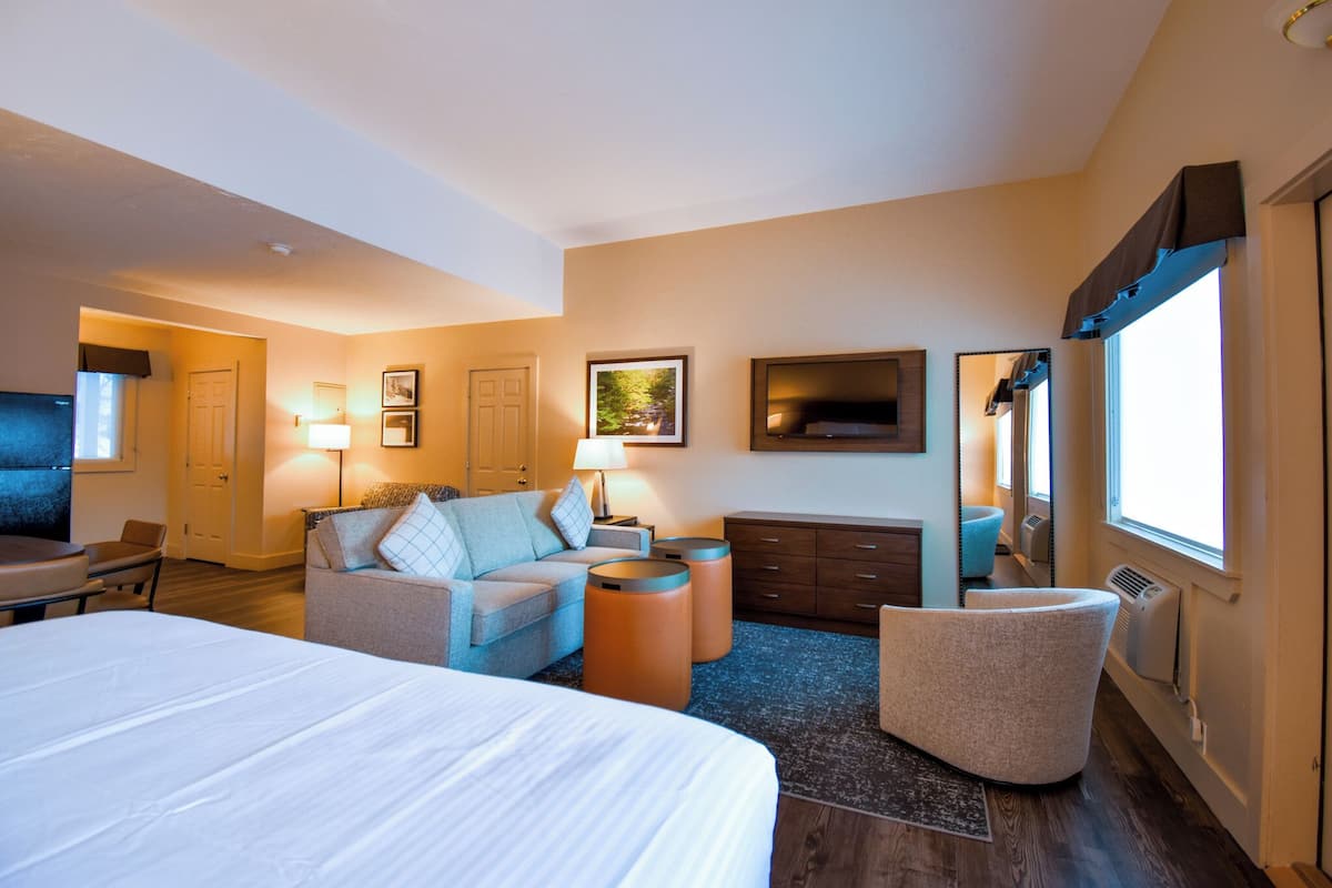 A hotel room with a large bed, a sofa, a desk, and a TV. There are two waste baskets and a mirror on the wall.