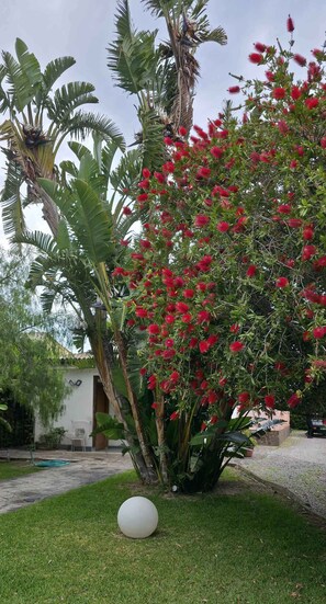 Property grounds - Penta Dream House "SILVER" (Sicilia)