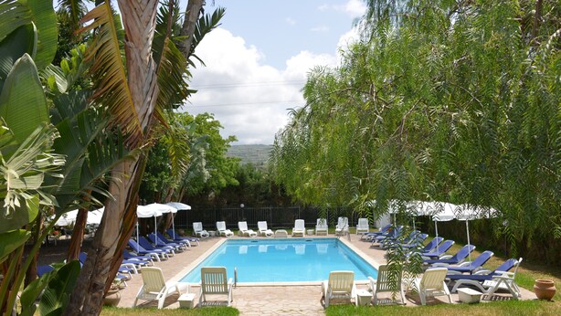 Une piscine rectangulaire bordée de chaises longues et d’ombrelles, entourée de verdure et d’un sentier en pierre.