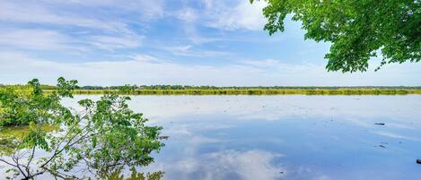 A calm lake with reflections of trees and a clear sky.
