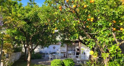 Anthea Suite in Cacace Palace with garden, near the sea and the station