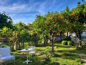 Outdoor dining - Anthea Suite in Cacace Palace with garden, near the sea and the station (Meta)