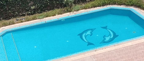 A rectangular swimming pool with a tiled edge and a dolphin design on the water.