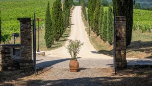 A gravel path leading through a vineyard with stone pillars and a potted plant at the entrance.
