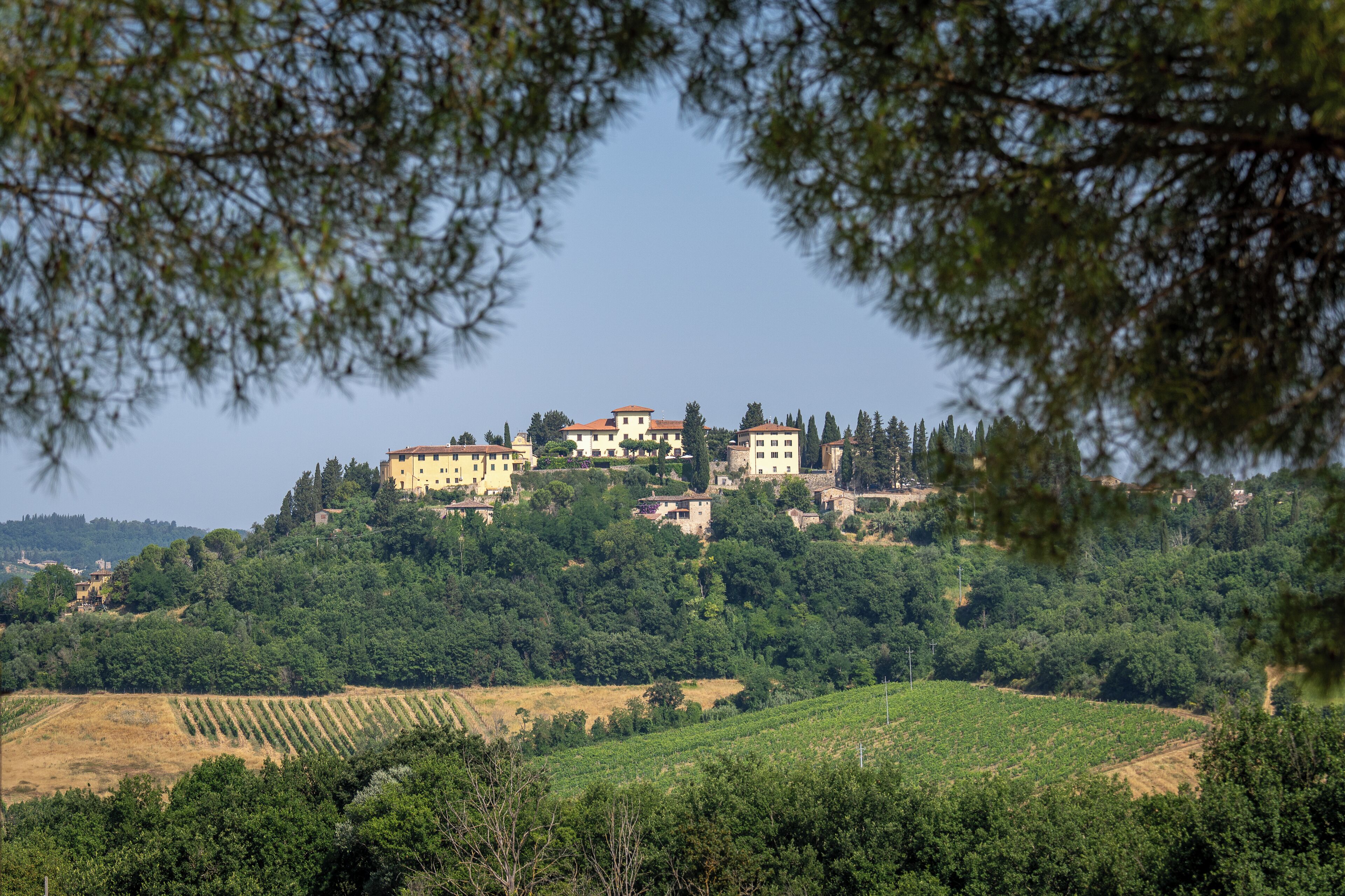 A hillside villa with multiple buildings surrounded by lush greenery and vineyards.