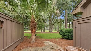 Un patio con una palmera, un camino de piedra y mobiliario de madera.