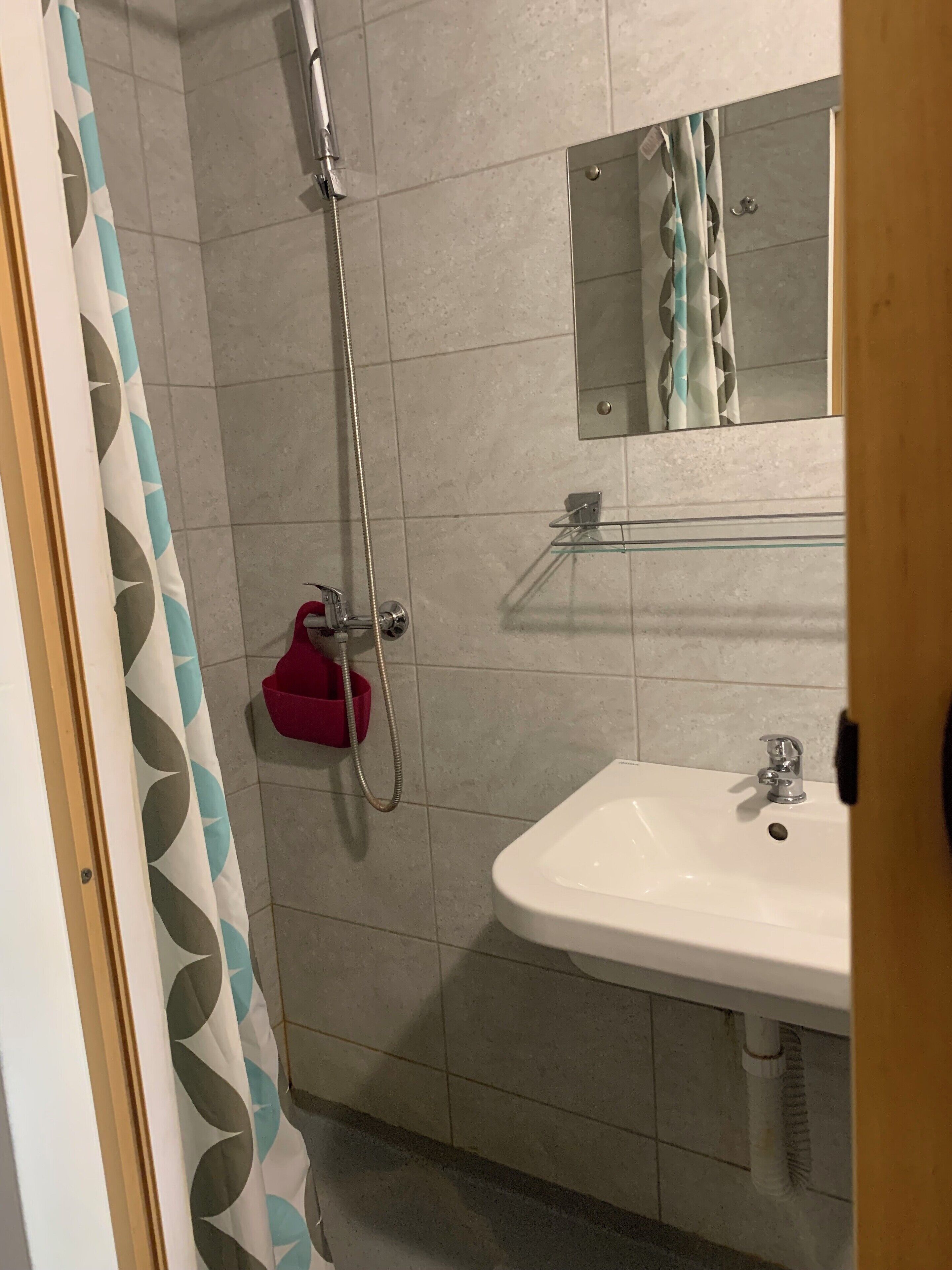 A bathroom with a shower, a sink, and a mirror.