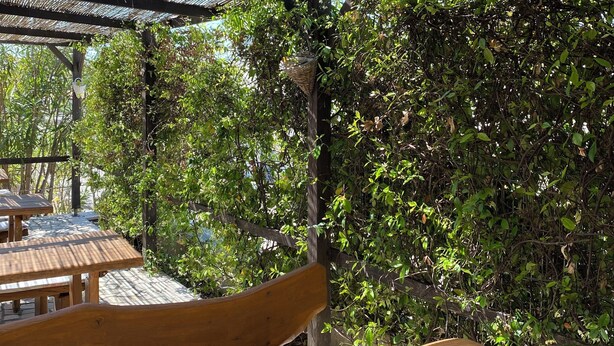 Een buitenpatio met houten tafels en banken, overdekt met een gestreepte luifel, omgeven door weelderige begroeiing.