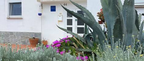 A building with multiple windows, a sign indicating it is a hostel, and various plants including cacti and flowering plants.