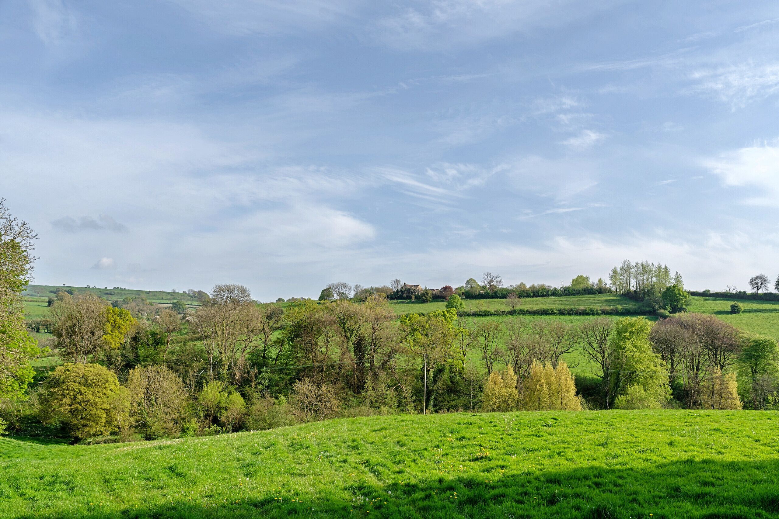 Un prato verde con alberi e una vista lontana di una casa su una collina.