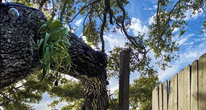 Vintage Waterfront Retreat in Jupiter