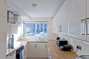 Apartment, City View | Private kitchen