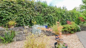 A garden with various plants and a stone wall. - Corner Cottage (Ashbourne)