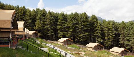 A campsite with multiple tents, a staircase leading up to the tents, and a forested backdrop.