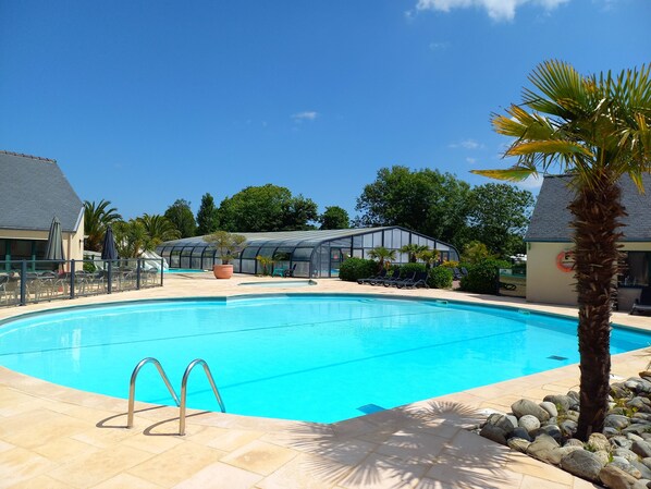 A swimming pool with a glass enclosure, lounge chairs, and a palm tree.