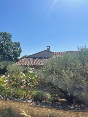 Property grounds - L'Appart-Thé - Discreet charm in the heart of Alpilles (Paradou)