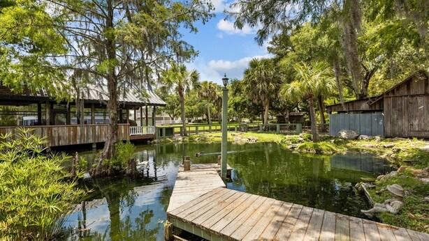 A wooden dock extending into a calm pond surrounded by lush greenery and trees. - Winslow Hatch House - Steinhatchee Landing Resort (Steinhatchee)