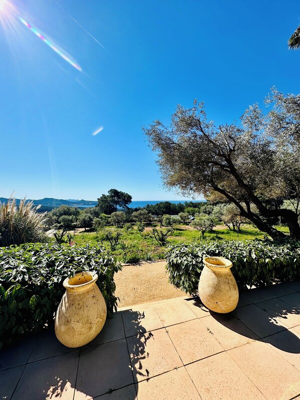 Property grounds - Villa Esden + Annexe | Sea view, swimming pool, absolute peace and quiet between countryside and coastline (La Ciotat)