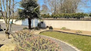 Zona ajardinada con palmera, sendero curvo y bajo muro con seto.