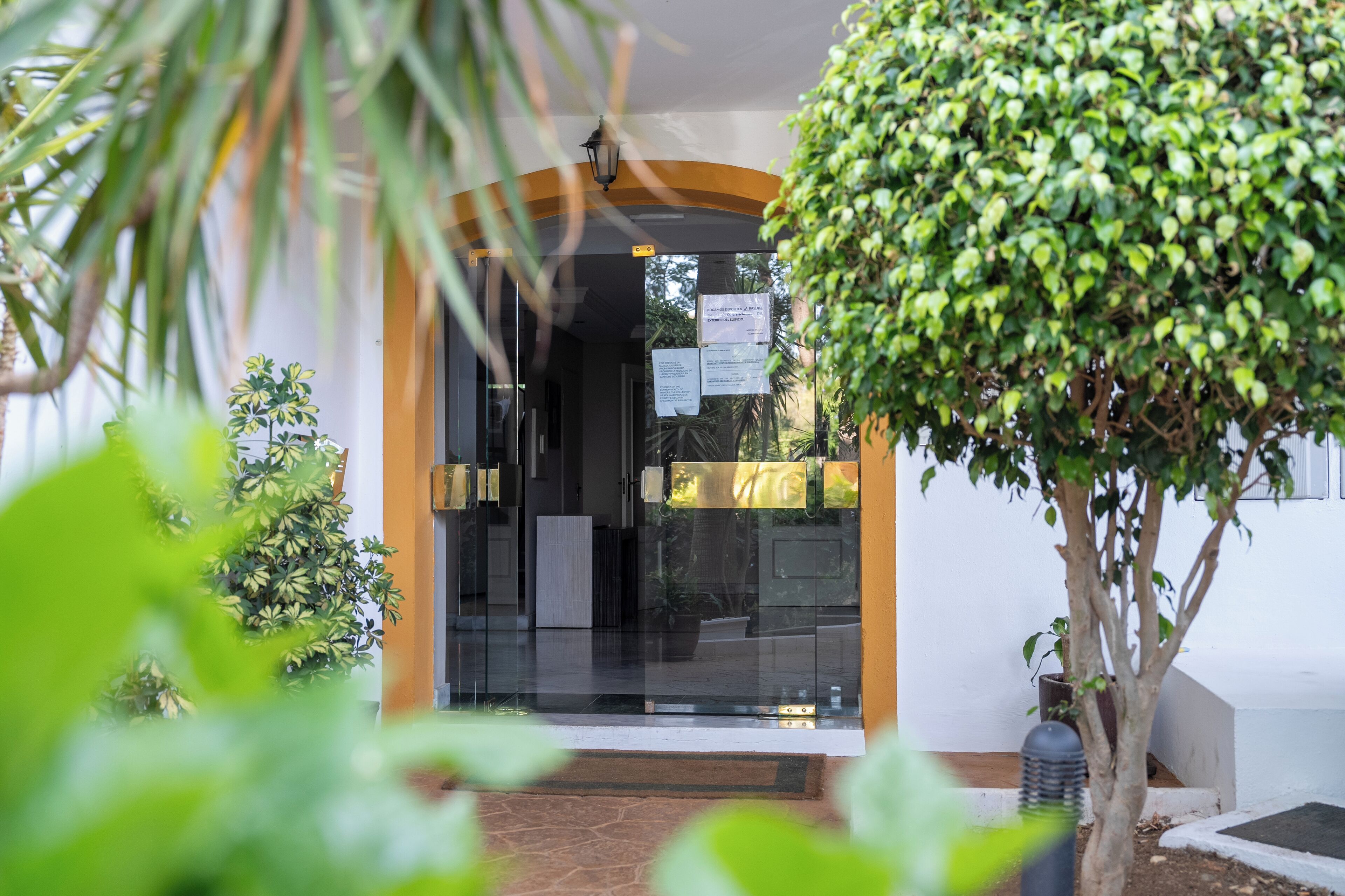 Une entrée d’immeuble avec une porte en verre, un petit arbre et une plante en pot.